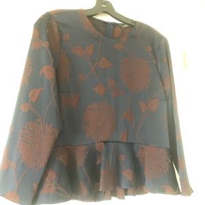 Zara matte satin embroidered shirt New w/out tags